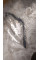 Coolant Line A1675006701