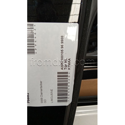 Door Rear Left A2057300105