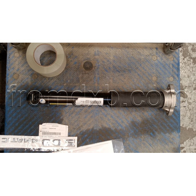Rear Shock Absorber A2533201330