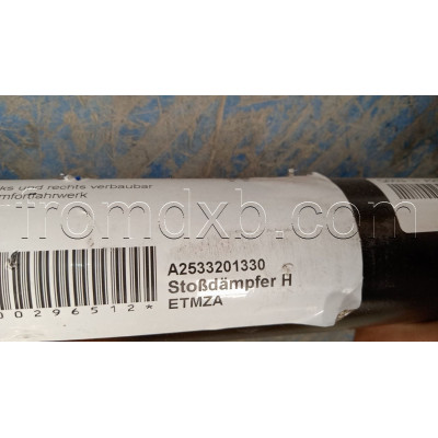 Rear Shock Absorber A2533201330