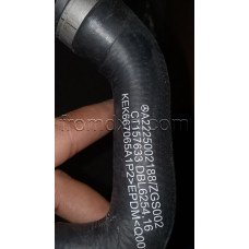 Hose A2225002188