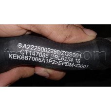Hose A2225002288