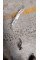 Coolant Line A2225017201