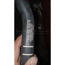 Hose A2225018691