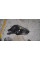 Headlight Right A2139062806