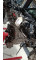 Engine M276 A2760102501 Complete