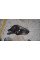 Headlight Right A2139062806