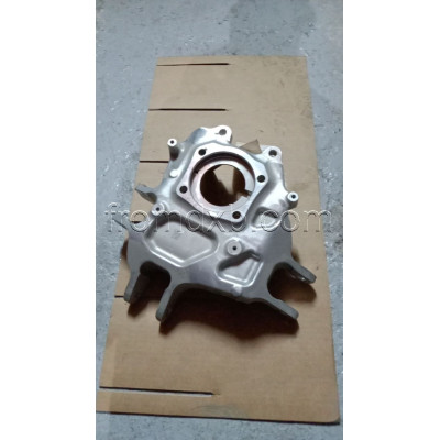 Wheel Carrier Left A1903505101