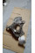 Steering Knuckle Front Right  A2473320800