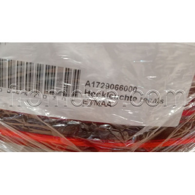 LED Rear Light Right A1729066000
