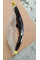 LED Rear Light Left USA Version A2909061100