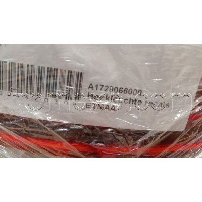 LED Rear Light Right A1729066000