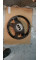 Steering Wheel Beige A1664609303