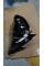 Door Mirror Left A2138104501
