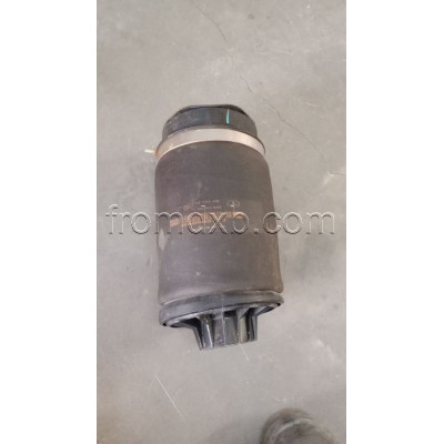Airmatic Spring Rear A1663200325