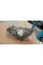Headlight Left A2078208561