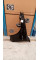Fender Left A2228800118