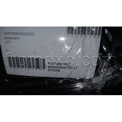 Headlight Left A2579061900