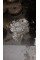 Transfer Case A2902802300