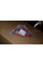 Boot Lid Tail Light Right A1779061200