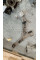 Wishbone Front Left A2463304700