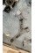 Wishbone Front Left A2463304700