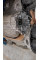Gear Box Complete A1662704302
