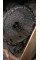 Gear Box Complete AG725034 A1662703602