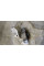 Engine Mounting A1322200148