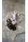 Engine Mounting A1322200148