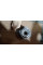 Wheel Bearing Rear A2113560000