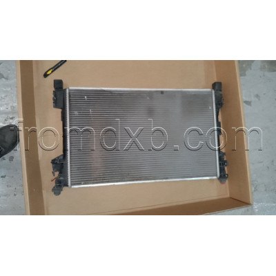 Engine Radiator A2035001003