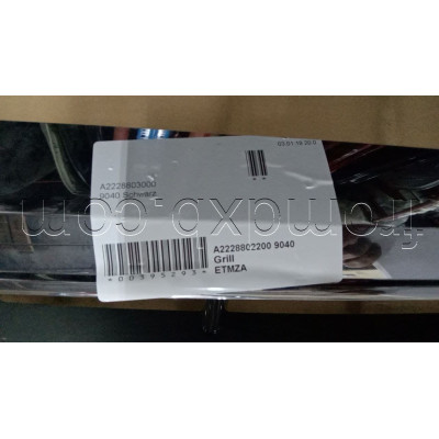 Radiator Grill A2228802200