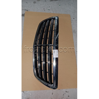 Radiator Grill A2228802200