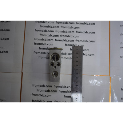 Air Conditioner Expansion Valve 1ED820679