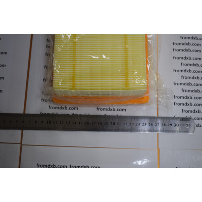 GAC Engine Air Filter 2010005DRS0000