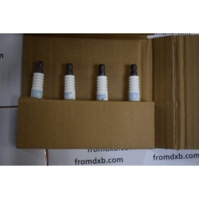 Changan Spark Plug D20T012-0700