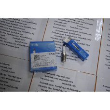 Spark Plug 10099079