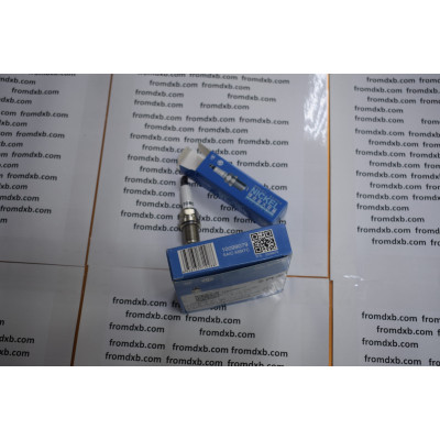 MG Spark Plug 10099079