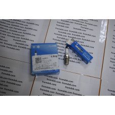 Spark Plug 10099079