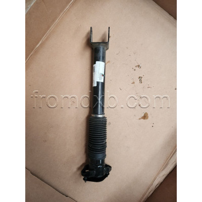 Shock Absorber Rear A1663202030