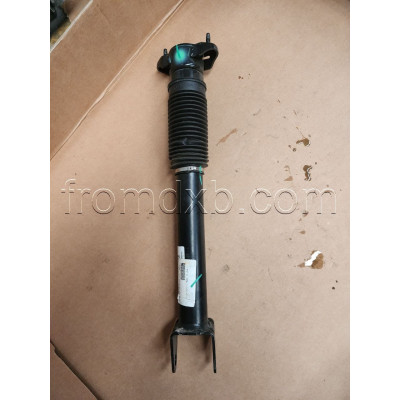 Shock Absorber Rear A1663202030