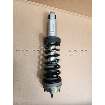 Mercedes AMG GT - Shock Absorber A1903201113