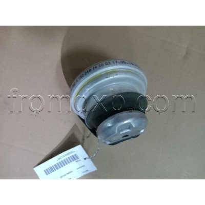 Engine Mount A1902401400