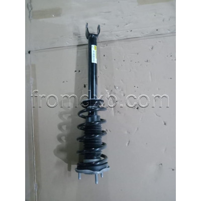 Shock Absorber Front Side A2053202330