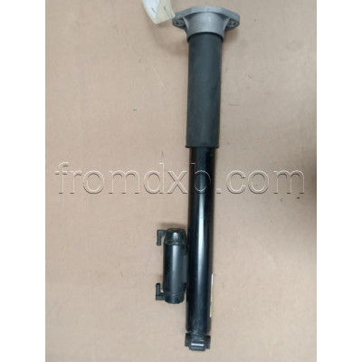 Shock Absorber Right Side A2053207200