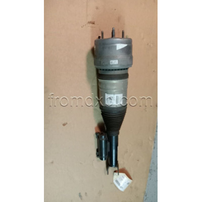 Shock Absorber Front Left A2133202138