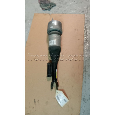 Shock Absorber Front Left A2133202138