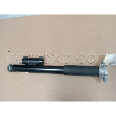 Shock Absorber Rear A2133202200