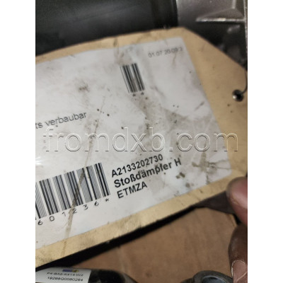 Rear Shock Absorber A2133202703